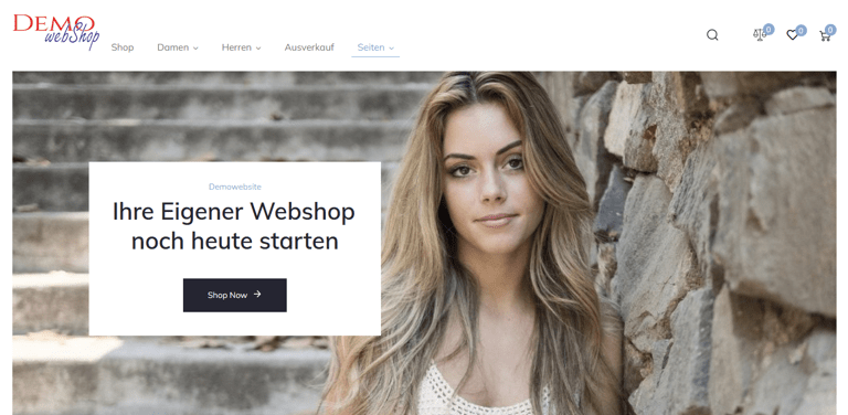 Read more about the article Webshop (mit div Filtern) – Demo